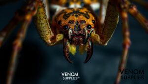 Lesen Sie mehr über den Artikel Identifying the Most Venomous Spiders: A Guide to the World’s Most Dangerous Bites