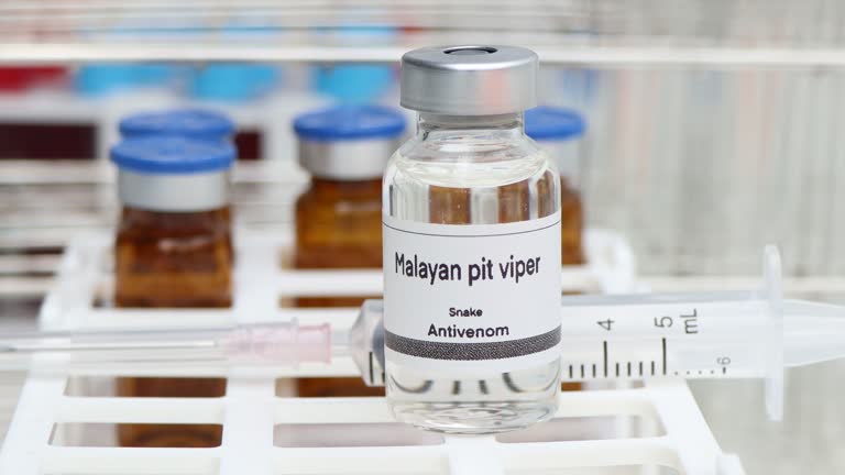 You are currently viewing Safety Precautions When Handling Snake Venom (2025 Guide)